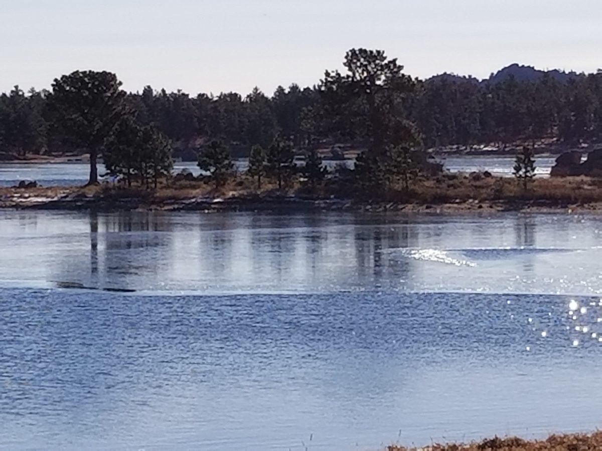 Dowdy Lake campground Larimer County Colorado