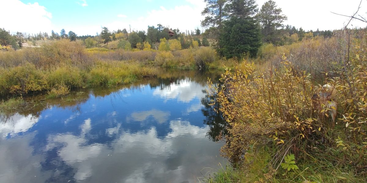 Cache la Poudre